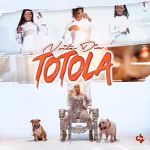Noite & Dia – Totola [2021] Baixar mp3
