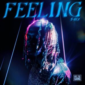 Toy Toy T-Rex – Feeling [2021]