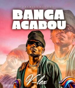 V-LEX – Banga Acabou