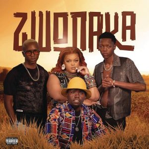 Mellow & Sleazy, DBN & Dinho – Zwonaka