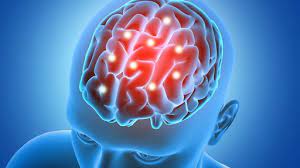 Cientistas finalmente descobrem por que o cérebro consome tanta energia