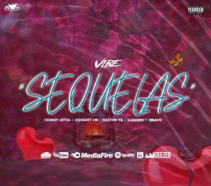 Vibe Music – Sequelas