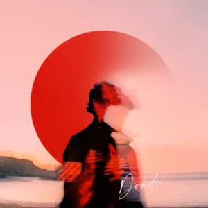 Toy Toy T-Rex - Donde