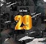 LIL FOX – 2.9