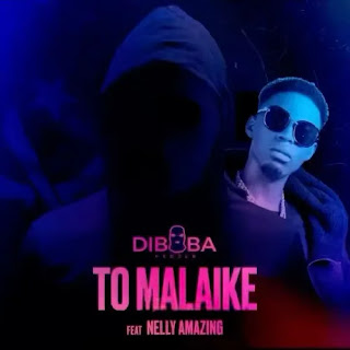 Diboba  – To Malaike (feat Nelly Armazing) 
