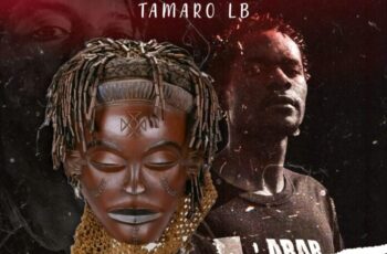 Tamaro LB – Lunda Tchokwe