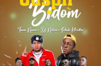Tamu Numa x Dj Nelson x Paulo Kibrilha – Cuspir no Bidon