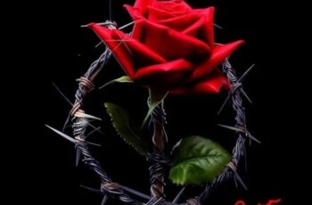 MC Ryan SP, Oruam, MC Joãozinho VT & MC Kako – Pior Versão [Baixar 2023]