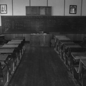 Young Family - Moeda (feat. Xuxu Bower) [Baixar 2023]