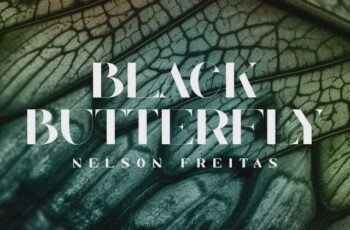 Nelson Freitas – Black Butterfly [Baixar 2024]