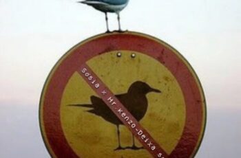 Sósia x Mr Kenzo – Deixa Só