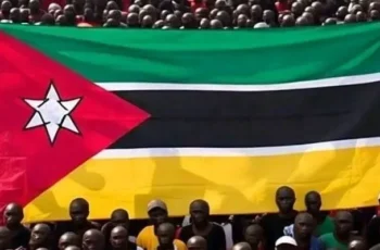 Nikotina KF – Turbo V8