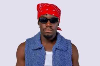 ProfSkill – Belão