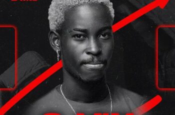 DJ Vieira Dias – O Mix  Vol.x (Afro House) 2025