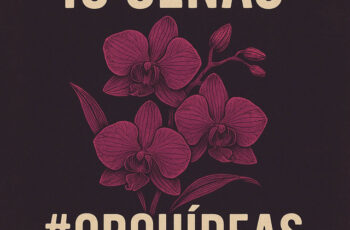 16 Cenas – Orquídeas (Rap) 2025