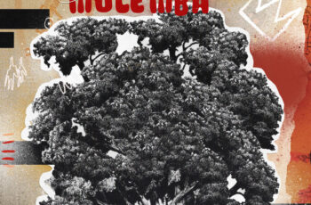 Jimmy P – Mulemba (Rap) 2025