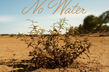 Libianca – No Water (Afro Beat) 2025