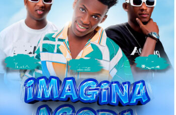 Alfredo Picante – Imagina Agora (feat. Adi Mix & Picante) (AFRO HOUSE) 2025