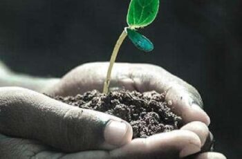 Edgil – Haja Paciência (prod. Kim Coffee Music) (KUDURO) 2025