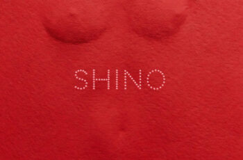 Skiibii – SHINO (feat. Oxlade) (AFRO BEAT) 2026