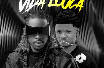 Dj Trix Danger & Veneno Q Cuia – Vida Louca (feat. 10S) (AFRO HOUSE) 2026